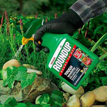 Roundup Tough Weedkiller for results in 48 hours