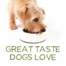 Dog enjoying one of Beneful’s many recipes with no artificial flavors or preservatives.