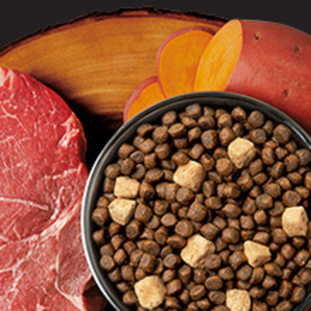 Kibble close up