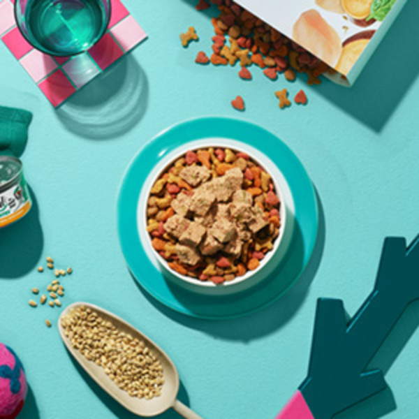 A bowl of Beneful dry dog food topped with wet food seen from above, all on a light blue tabletop.