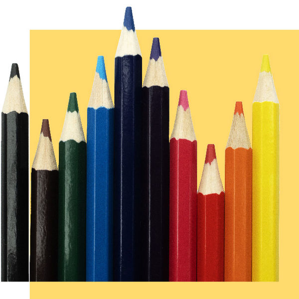 Selection of colored pencils displayed vertically to showcase multiple colors.