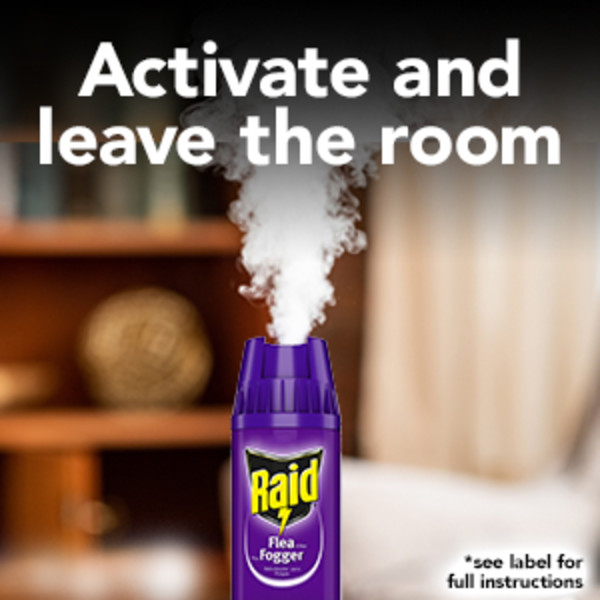 Flea treatment for rooms hotsell