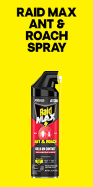 Raid® MAX Ant & Roach Spray