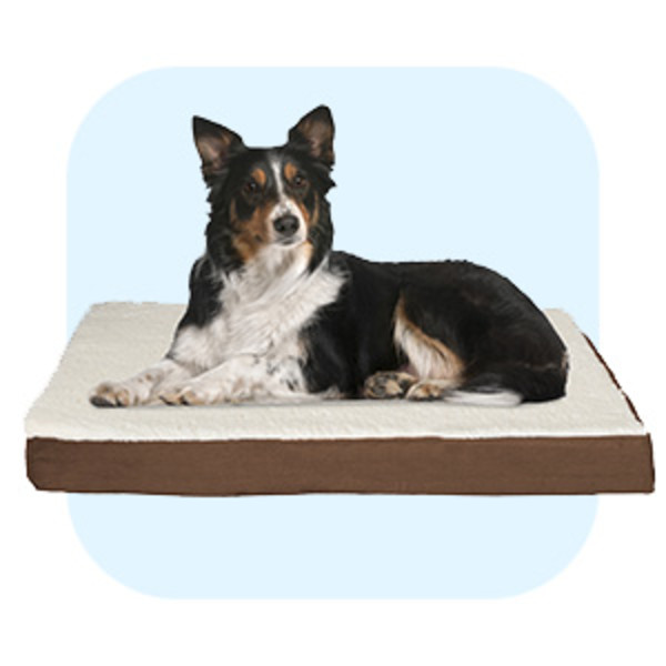 Large dog beds sale clearance