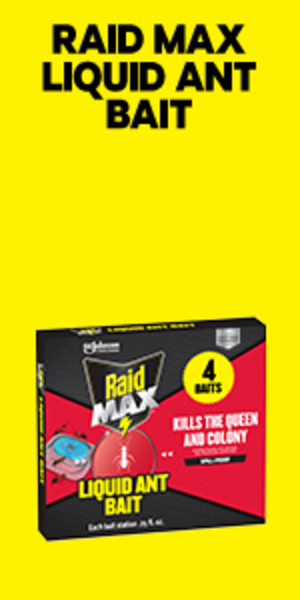 Raid® MAX Liquid Ant Bait