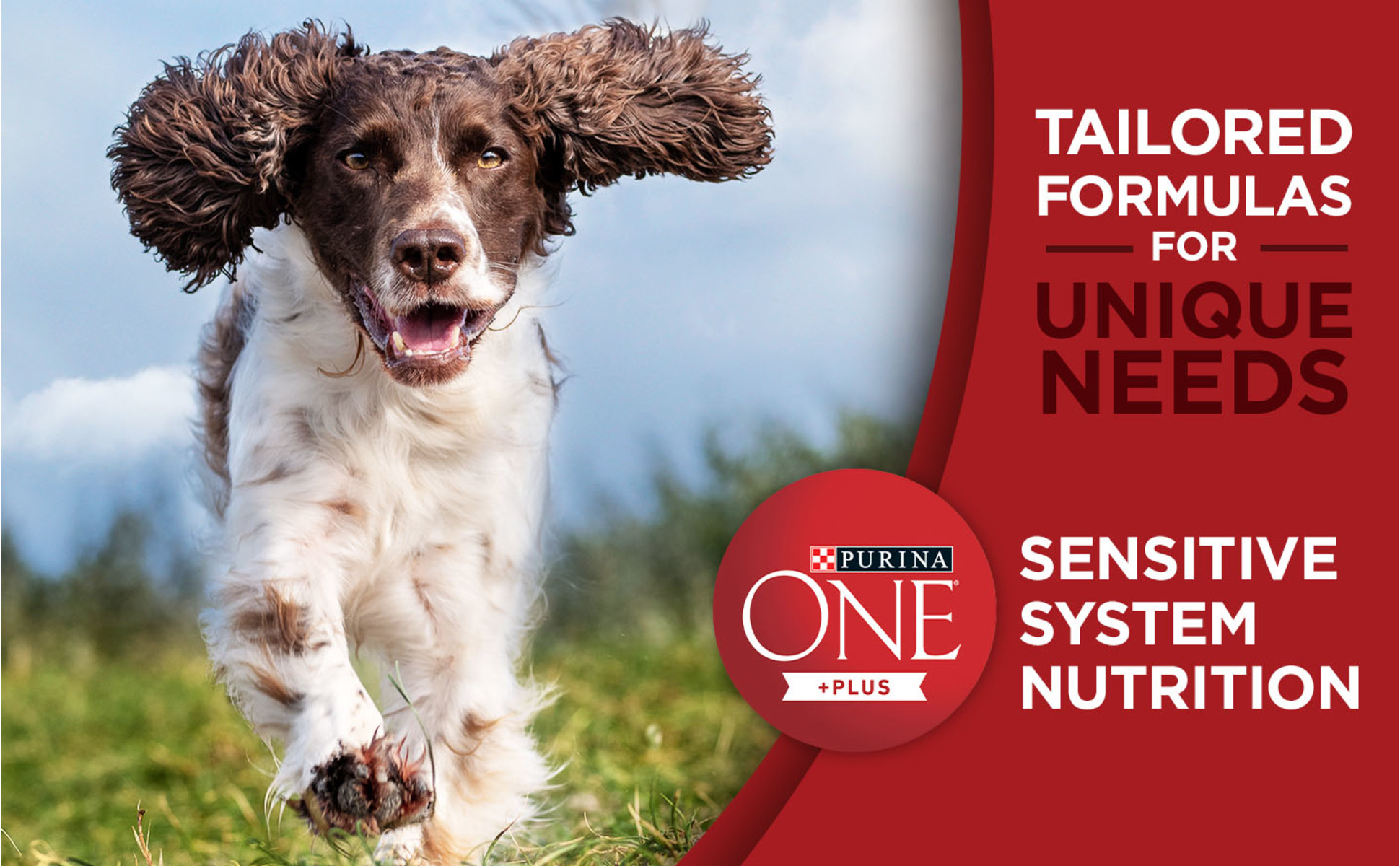 Purina One Plus Digestive Health Formula Natural with Added Vitamins,  Minerals and Nutrients Dry Dog Food, 31.1 lbs. | Petco