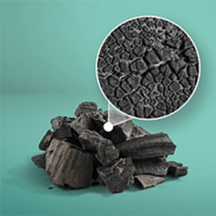 Lump of activated charcoal and its odor absorbing pores.