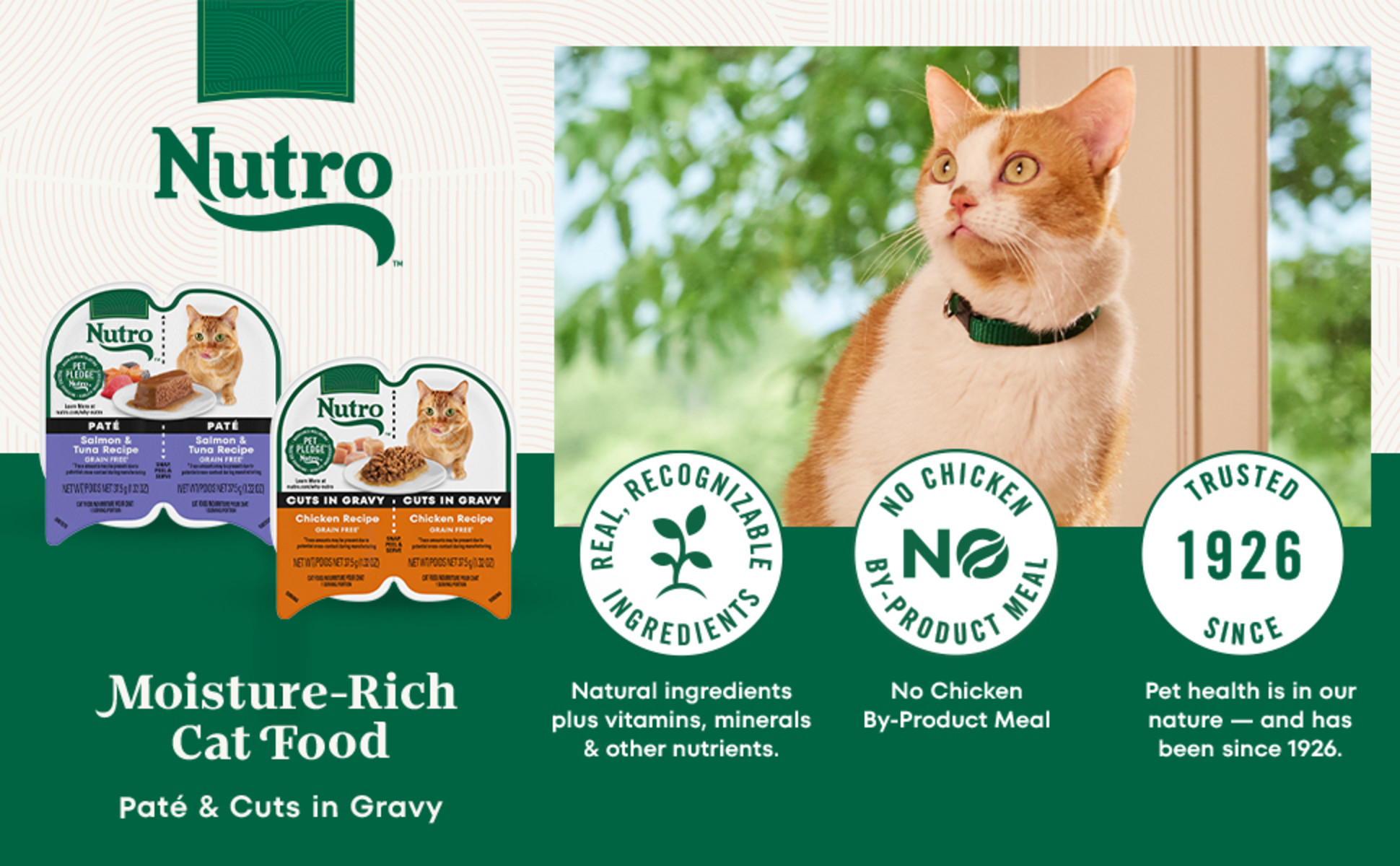 Nutro Perfect Portions Wet Cat Food, Cuts in Gravy Chicken Recipe - Main Image