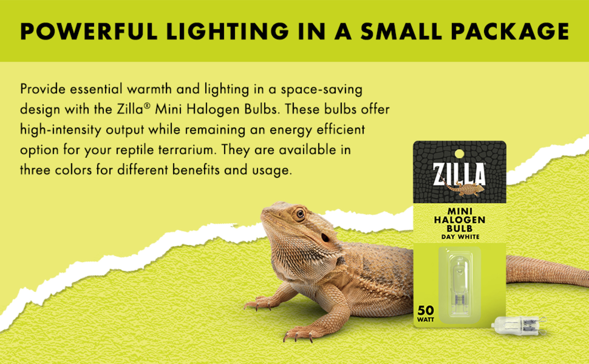 Mini halogen bulb zilla best sale