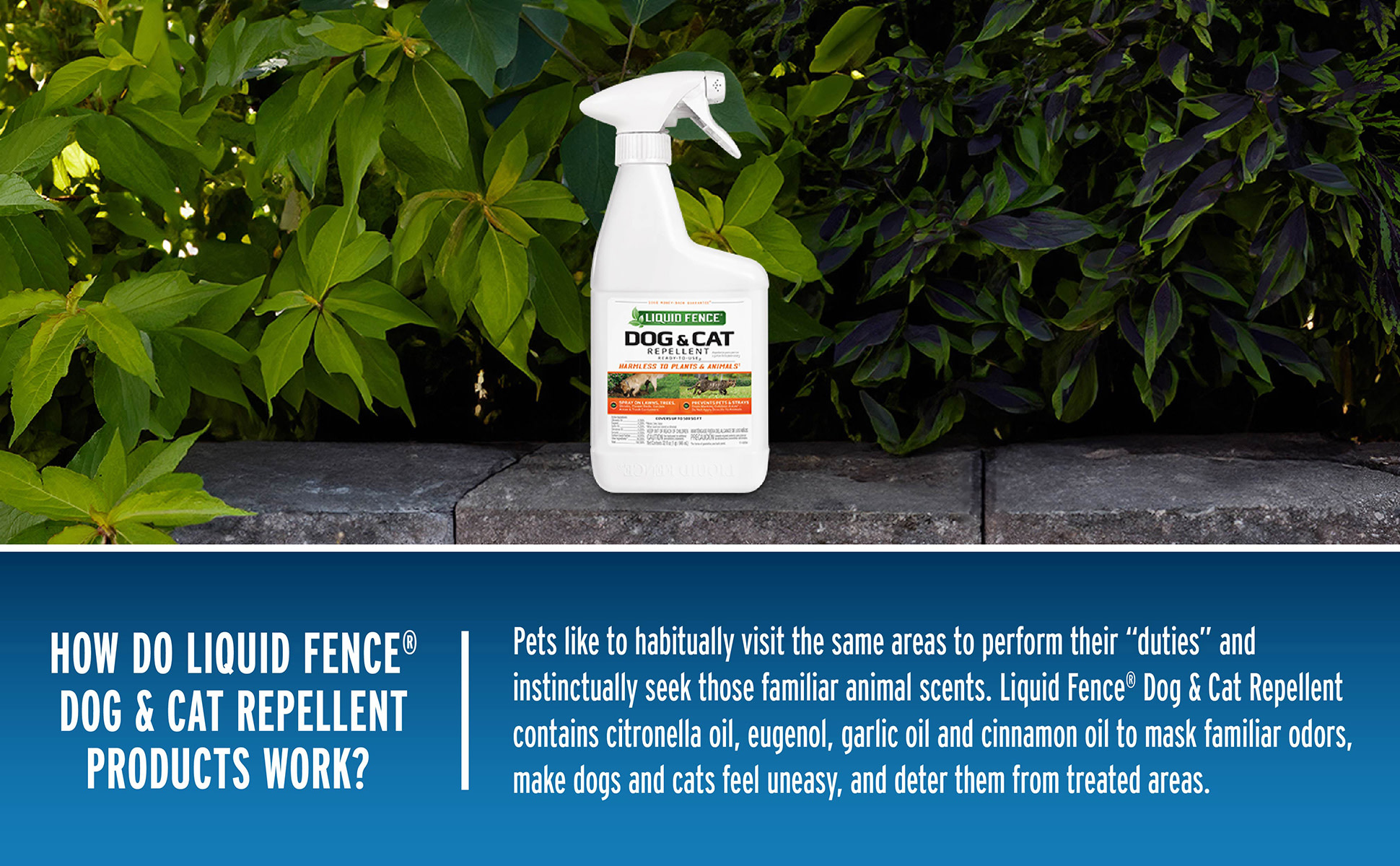 Liquid Fence 32 oz. Ready-to-Use Dog and Cat Repellent HG-71296-6 - The  Home Depot