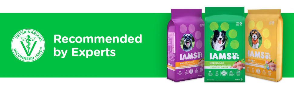 IAMS Adult Minichunks Small Kibble High Protein Dry Dog Food with