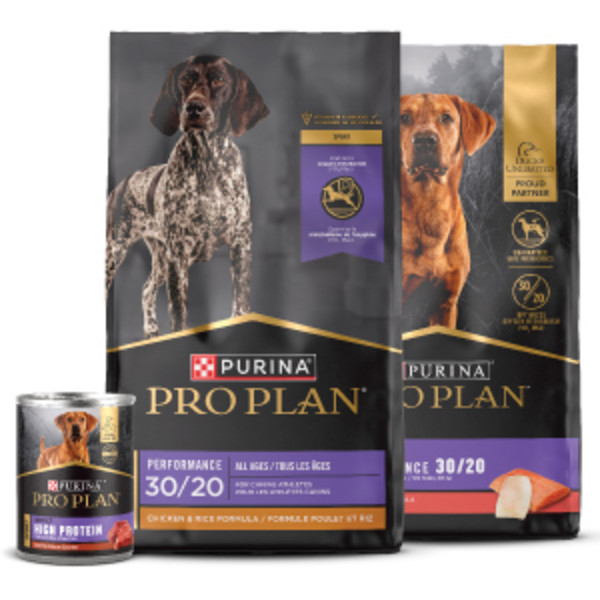 Purina pro sport dog food best sale