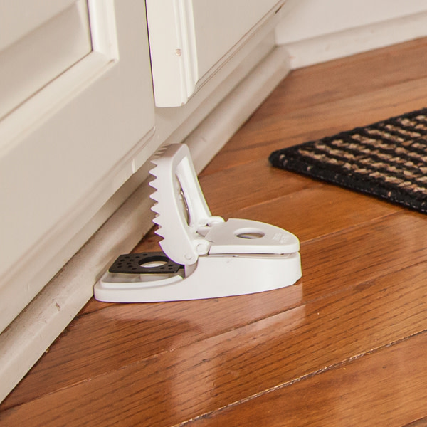 Effective Mouse Trap