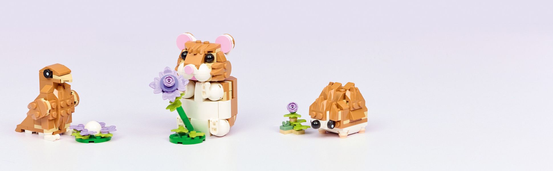 A great treat for animal fans