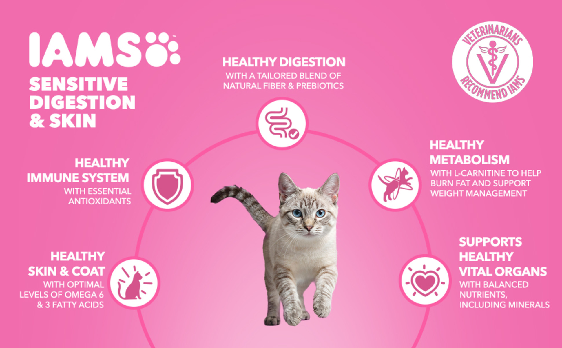 l carnitine benefits for cats Hill's Science Diet Adult Light Cat Food L-Carnitine for Cats: Energy, Weight,