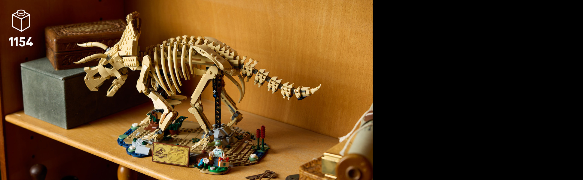 Features a skeleton model with articulated joints, an information plaque and a Dr. Gerry Harding minifigure to add life to the set.