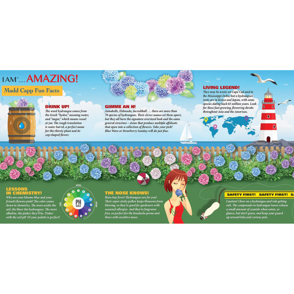 Madd Capp: I Am Hydrangea - 350 Piece Puzzle - Floral Shaped