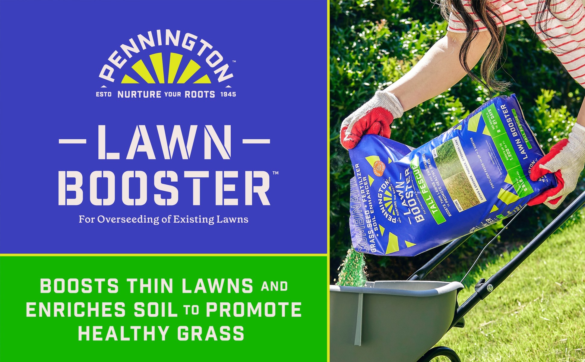 Pennington Lawn Booster Tall Fescue Grass Seed and