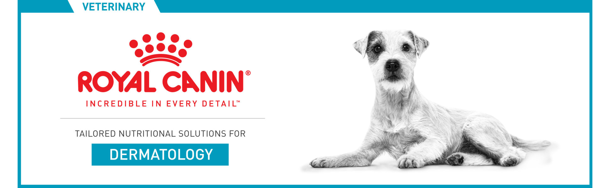 Royal canin fashion ultamino dog food