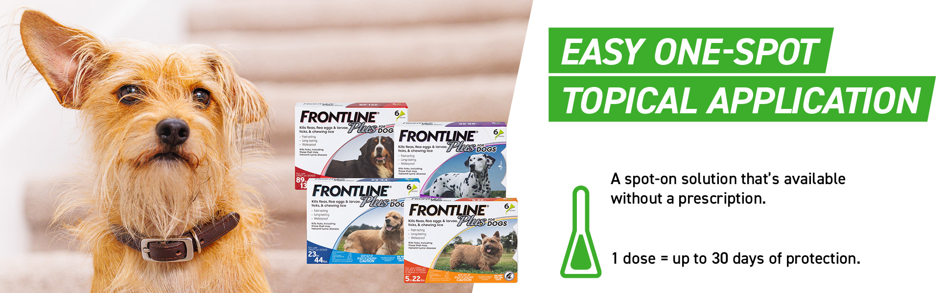 petco frontline dogs