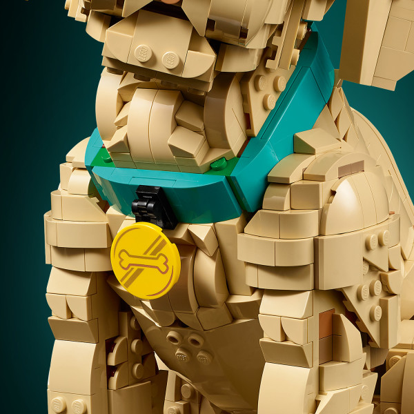 Complete the look with a colorful collar and golden medallion.