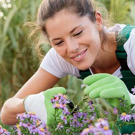 For organic gardeners
