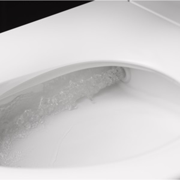 KOHLER Leap 12 in. Rough In One-Piece 1.0/1.28 GPF Dual Flush