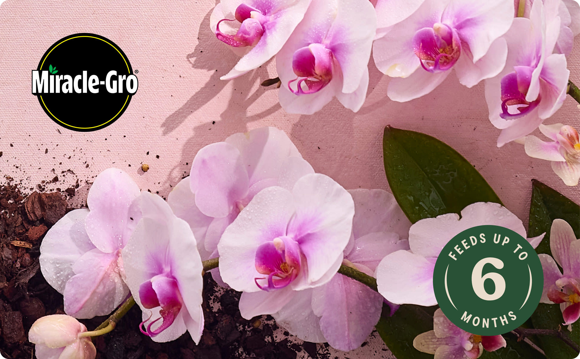 Miracle-Gro Indoor Potting Mix for Orchids 8 qt. Soil For Indoor