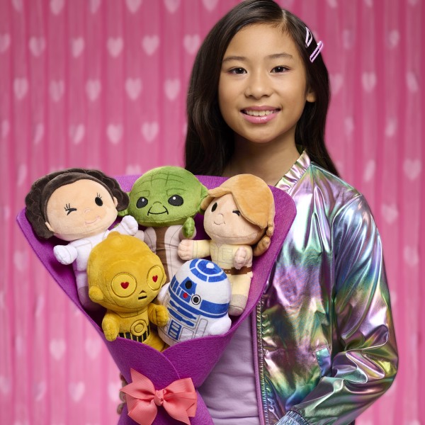 Star Wars™ Large Plush Valentine's Bouquet with Luke Skywalker, Princess  Leia, Yoda, C-3PO, R2-D2 - Walmart.com