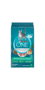 Walmart purina one dry cat outlet food