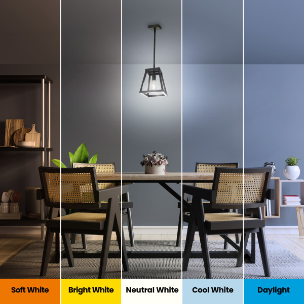 Feit Electric Katalyst 60-Watt 1-Light Matte Black Modern