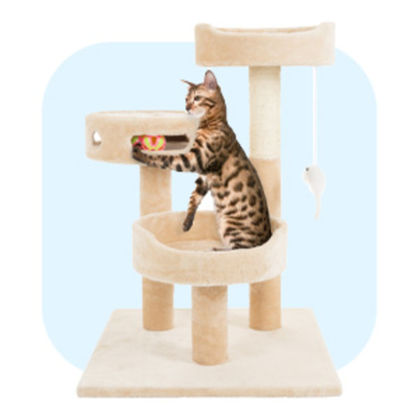 Pet Stuff Tower