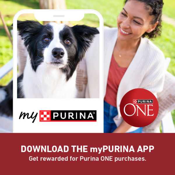 Image showing woman and her dog with myPURINA app frame.