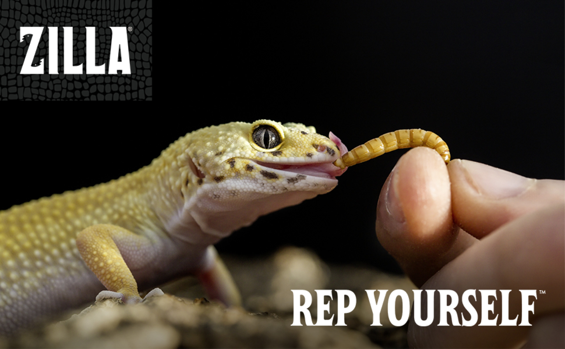 Zilla Munchies Mealworms for Reptiles & Birds, 3.75 oz