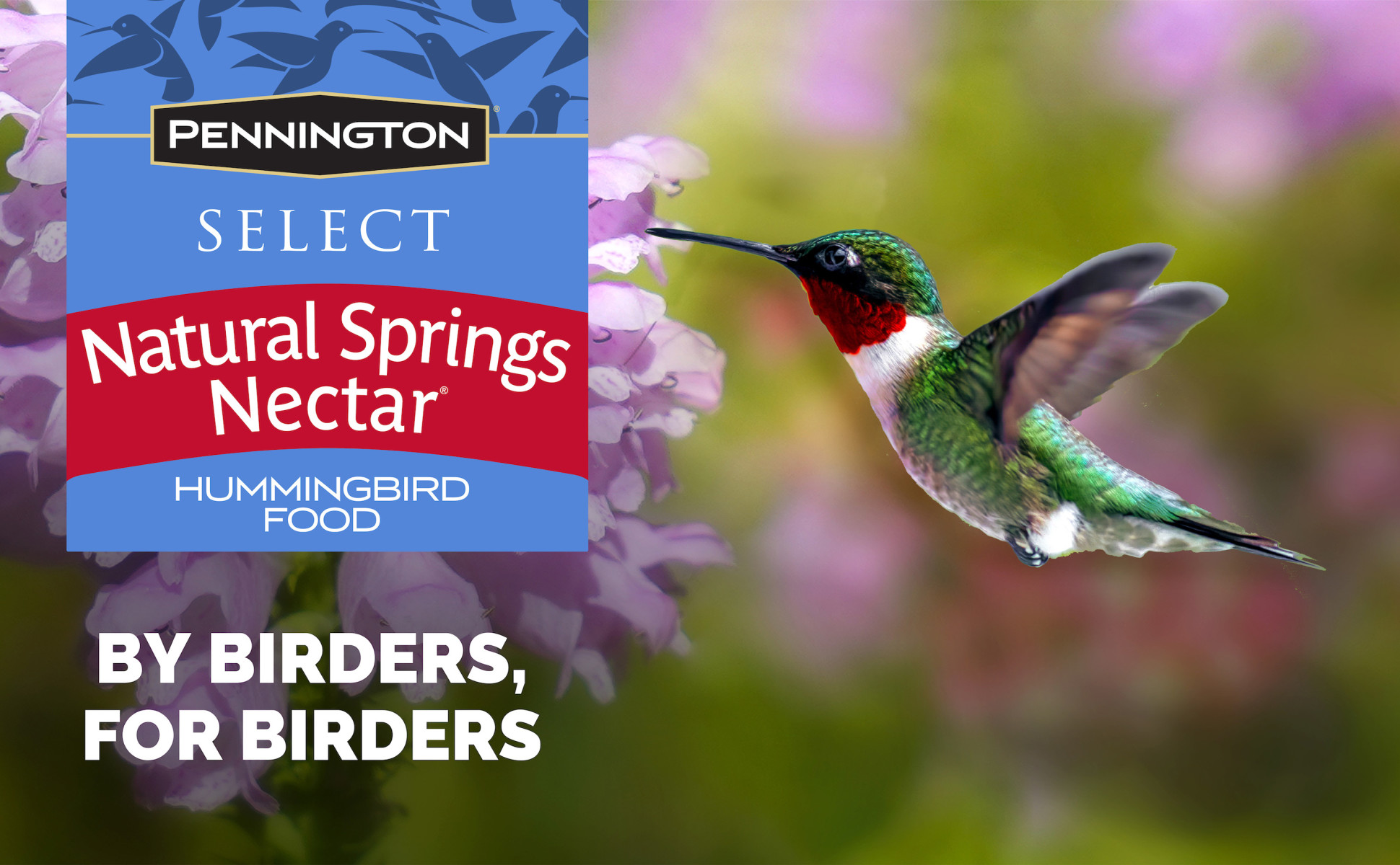 小物入れ JAY STRONGWATER HUMMINGBIRD sdh7438-256_grande.jpg?v=