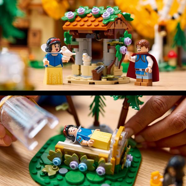Includes a wishing well and scene with glass-enclosed bed.