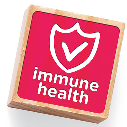 A pink building block features a shield illustration and the words Immune Health.