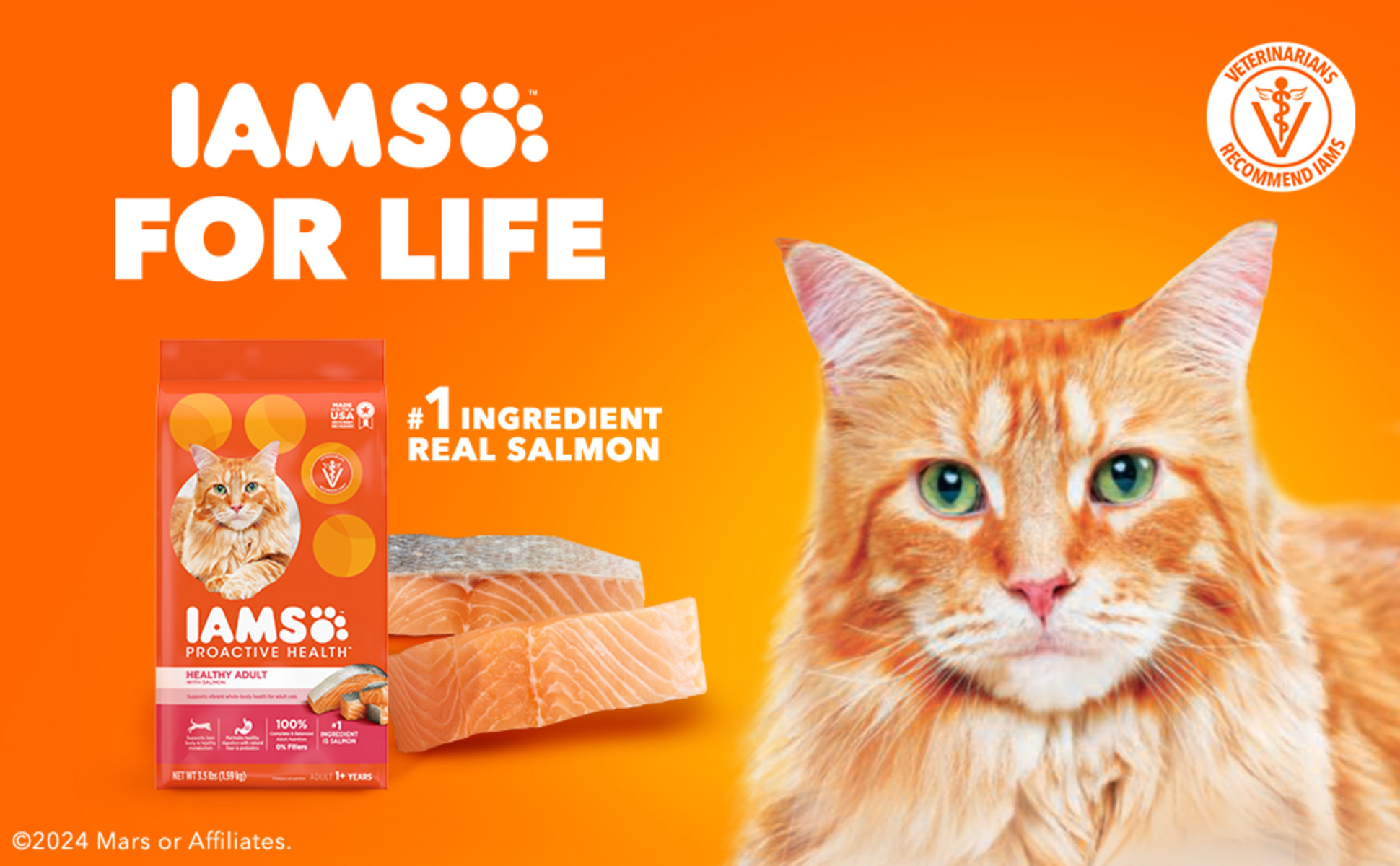 iams cat food 22 lbs