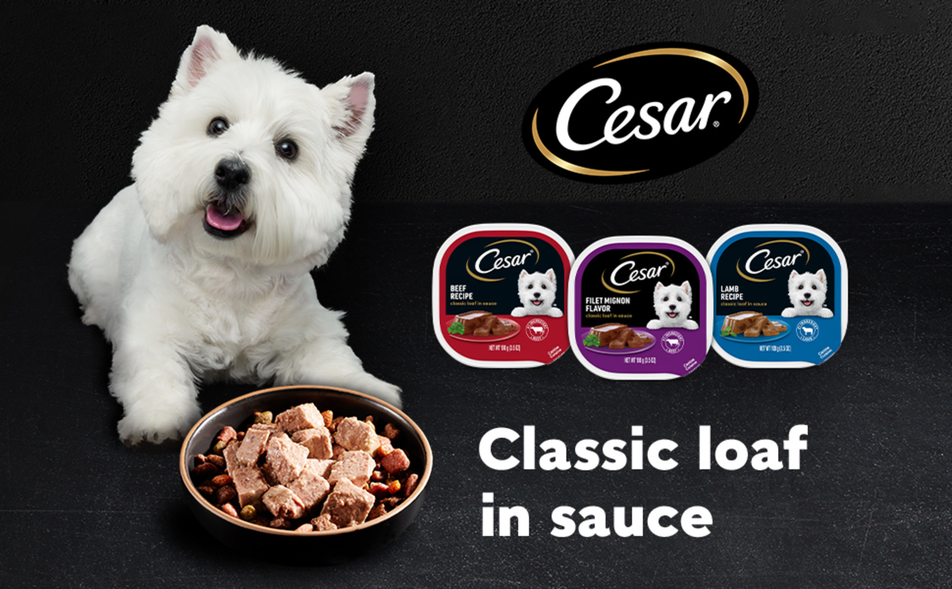 CESAR - Filetes de comida húmeda suave para perros adultos en salsa con  sabor a New York Strip, (24) bandejas de 3.5 onzas bandejas