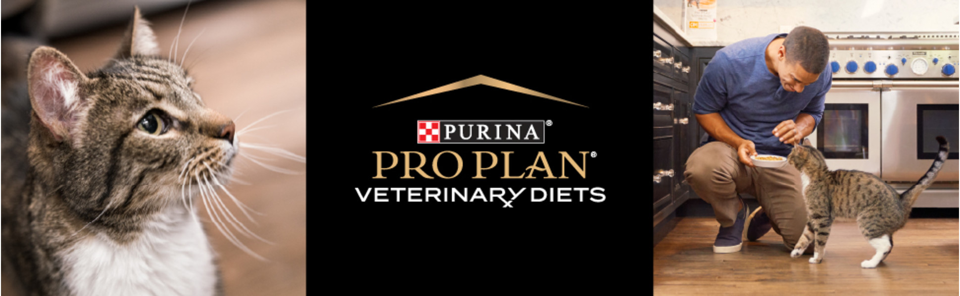 Purina pro plan veterinary diets E.N. cat gastrointestinal cat food formulas