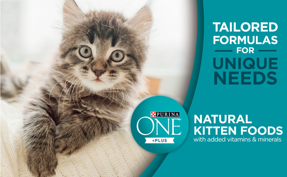 Purina ONE High Protein, Natural Dry Kitten Food, +Plus Healthy Kitten  Formula - 3.5 lb. Bag