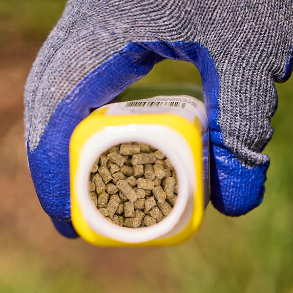 Close up of a gloved hand holding a bottle titled to view pellets