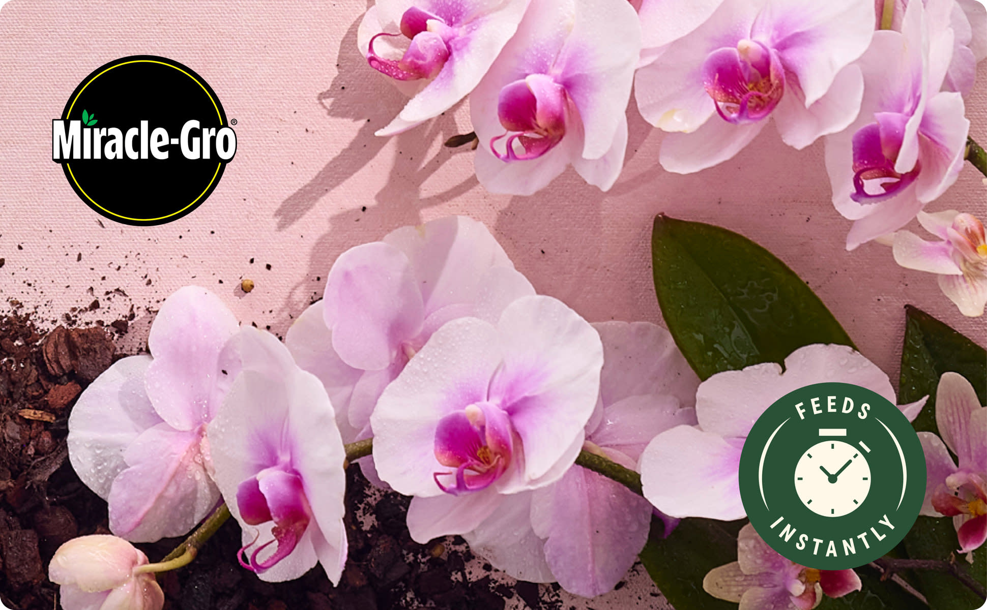 Miracle-Gro Indoor Plant Food Mist for Orchids 8 fl. oz. Orchid