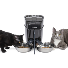 PetSafe Healthy Pet Simply Feed Automatic Feeder