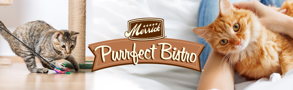 Merrick Purrfect Bistro Grain Free Healthy Kitten Chicken Dry Food 7 lbs. Petco