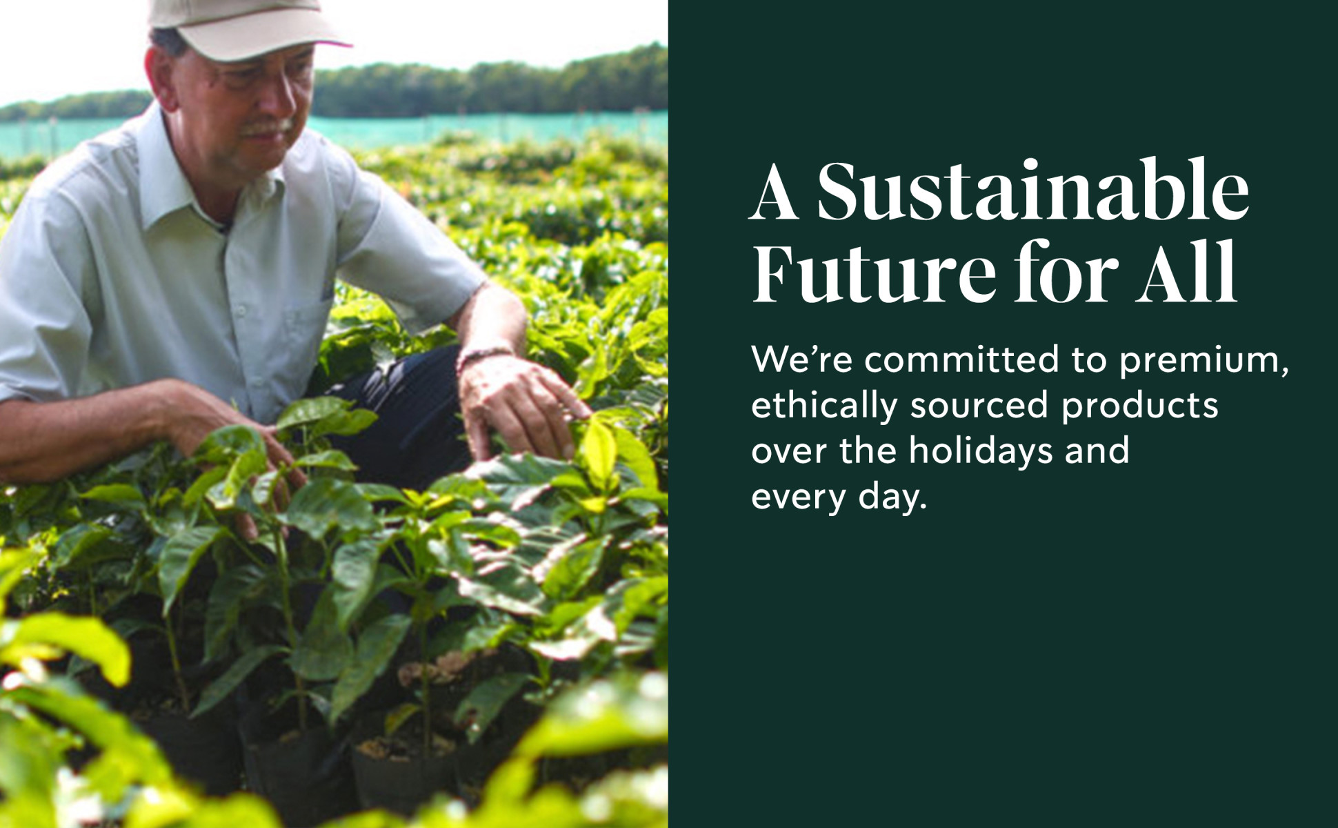 A coffee farmer. We're committed to premium, ethically sourced products that are responsibly traded.