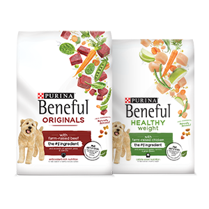 Purina Beneful Healthy Puppy Dry Dog Food Farm Raised Chicken 14