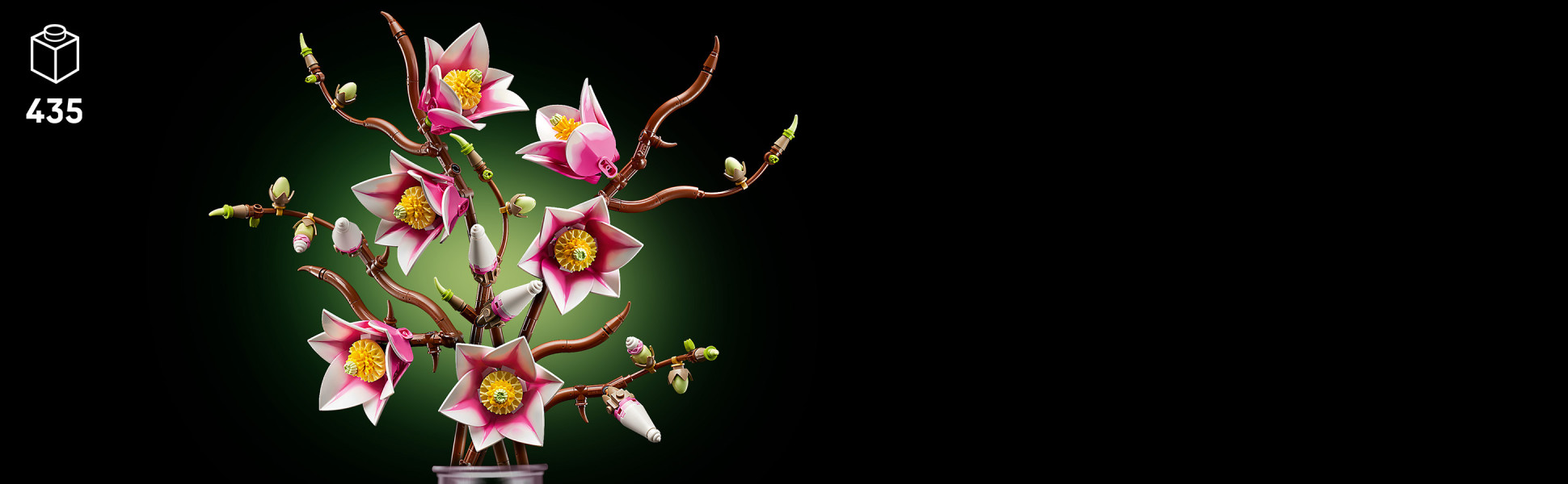 Includes 5 magnolia branches, with 2 of the branches showing the full development of the flower – from tiny buds to fully open petals.