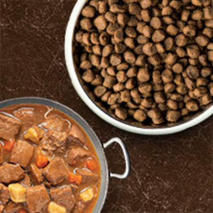 Photograph of a bowl of dry kibble and a bowl of chunky wet dog food.