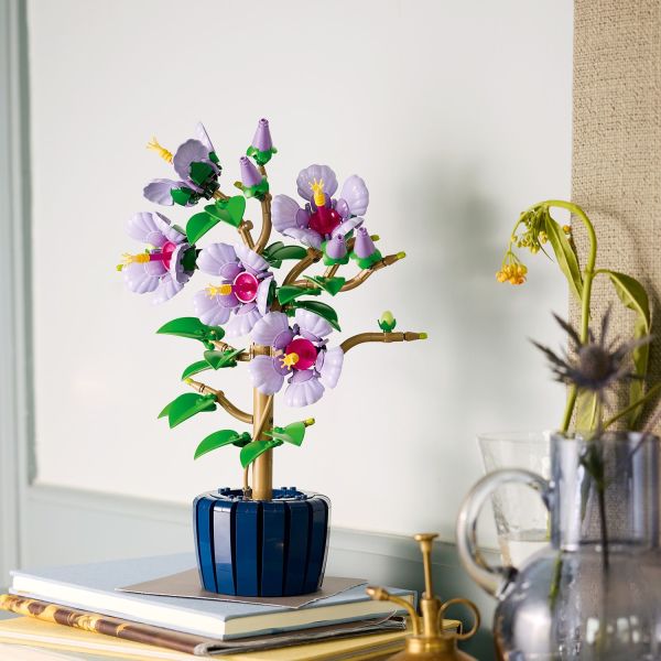 Bring nature home by displaying the hibiscus as flower decor.